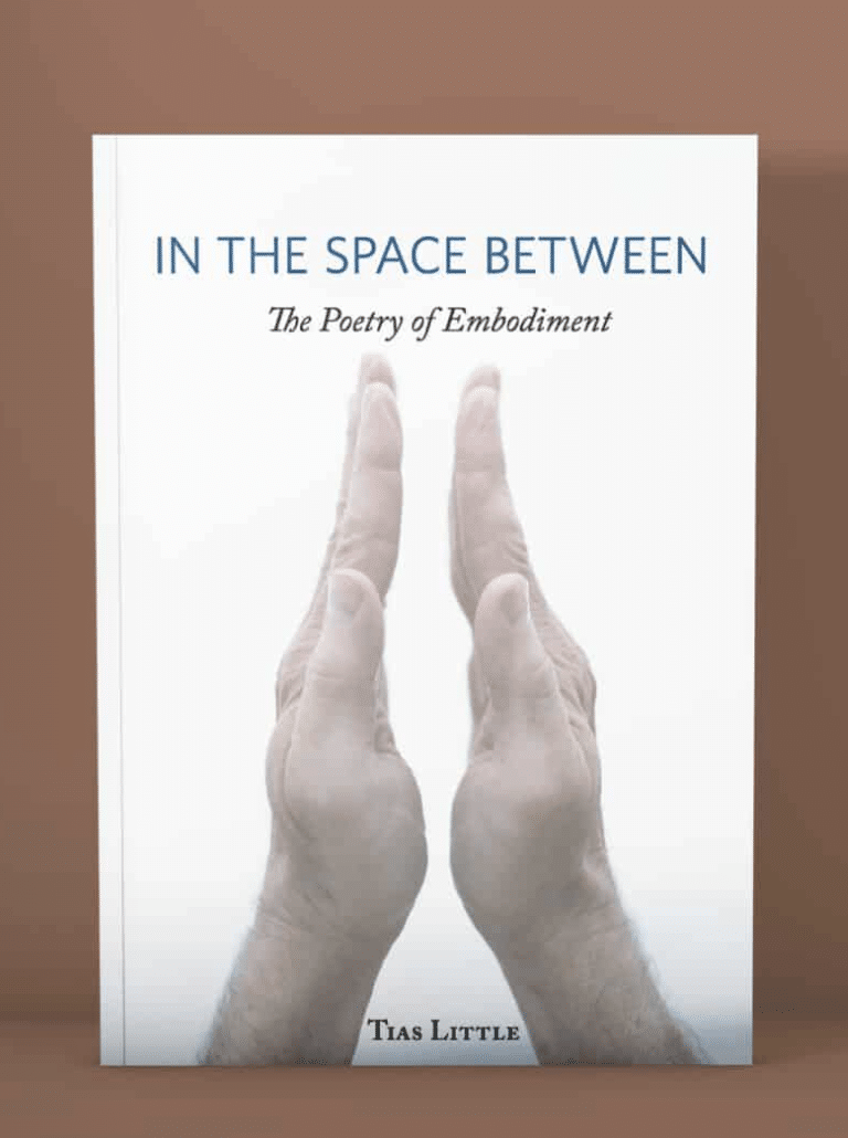 In the Space Between | Poetry Book book cover
